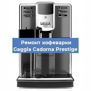 Чистка кофемашины Gaggia Cadorna Prestige от накипи в Нижнем Новгороде